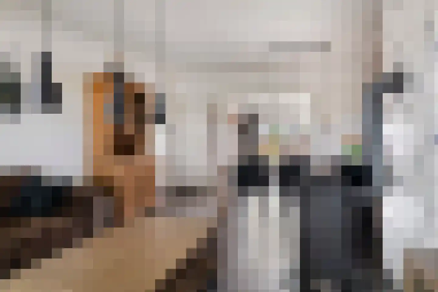 Vlierdenseweg 81 Deurne thumbnail 17