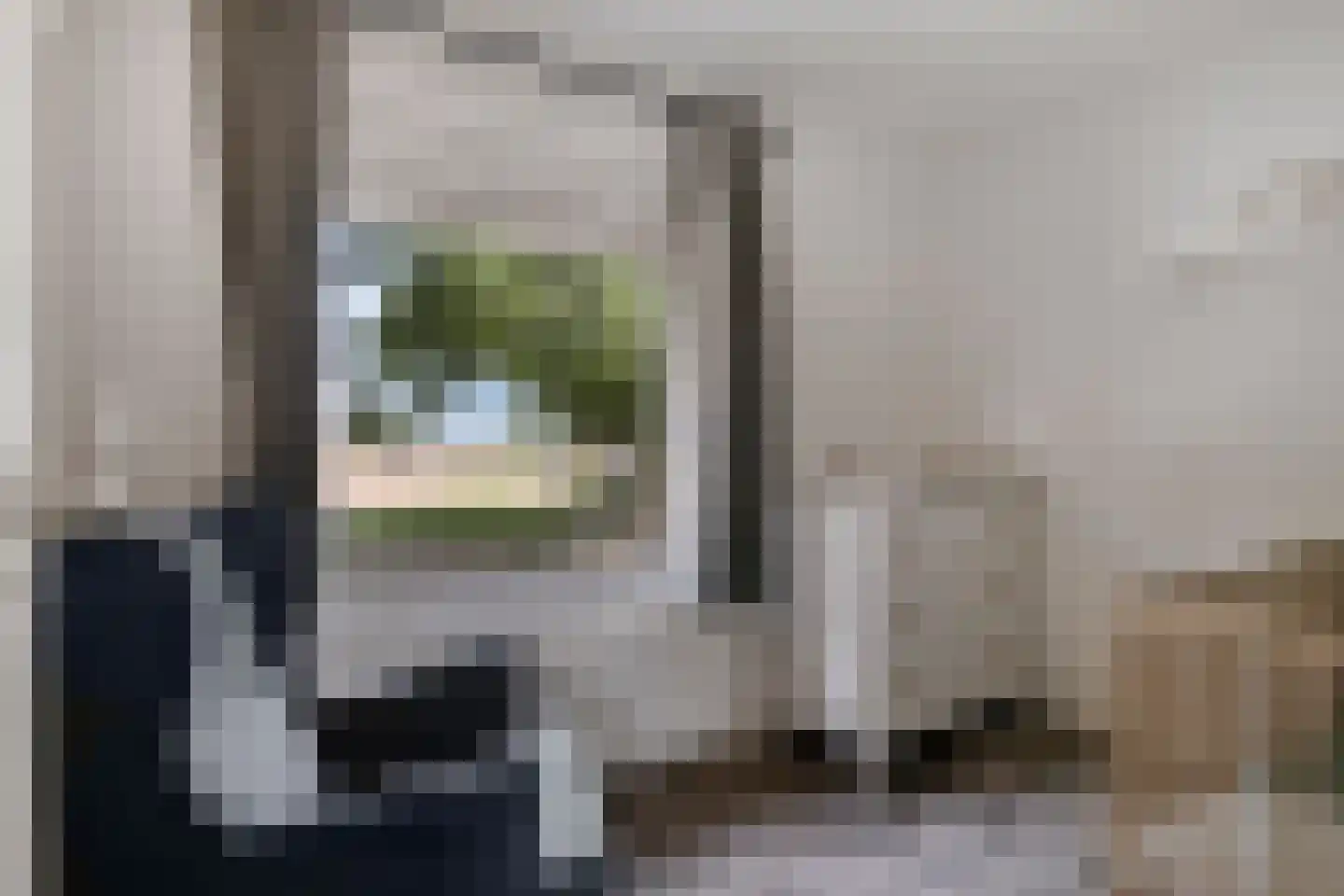 Vlierdenseweg 81 Deurne thumbnail 32