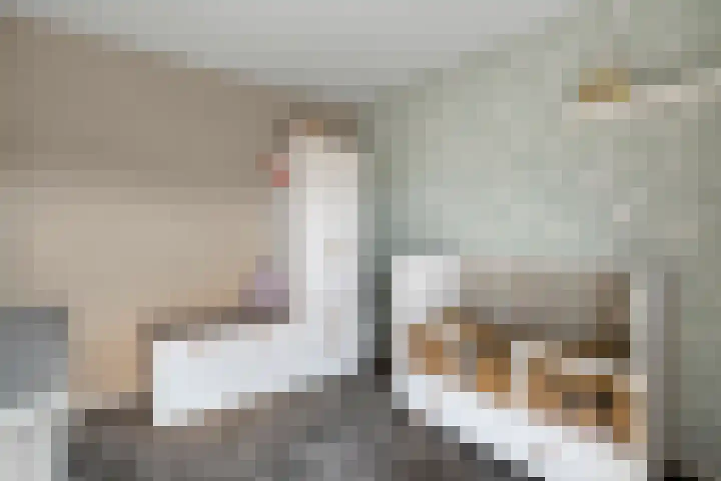 Vlierdenseweg 81 Deurne thumbnail 37
