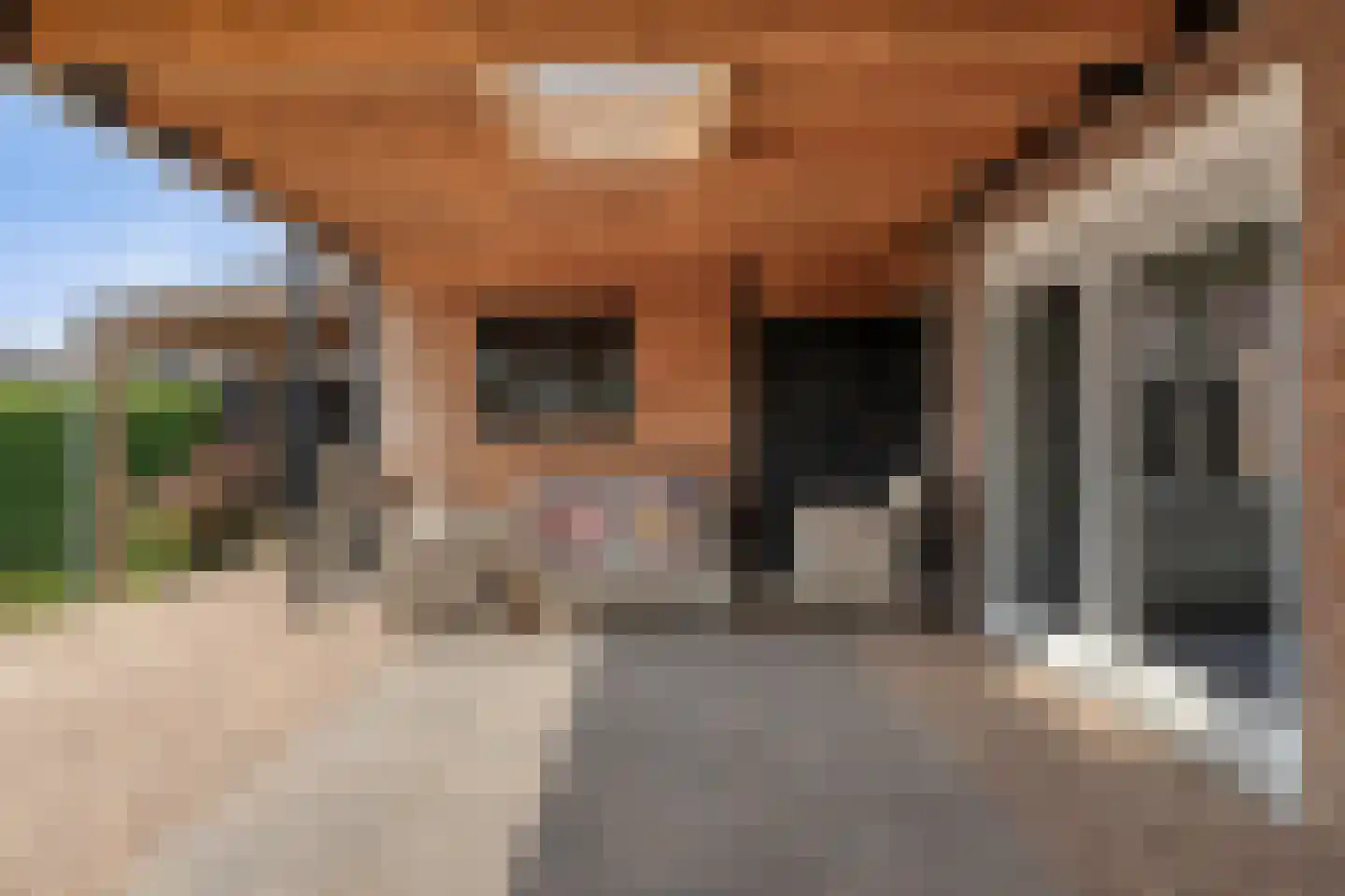 Vlierdenseweg 81 Deurne thumbnail 42