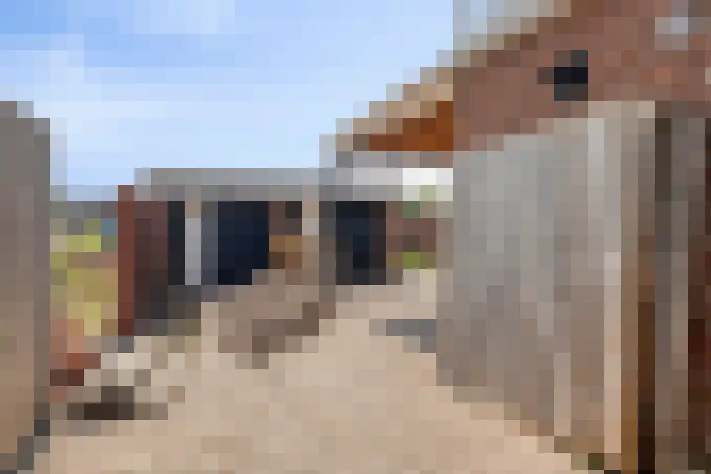 Vlierdenseweg 81 Deurne thumbnail 48