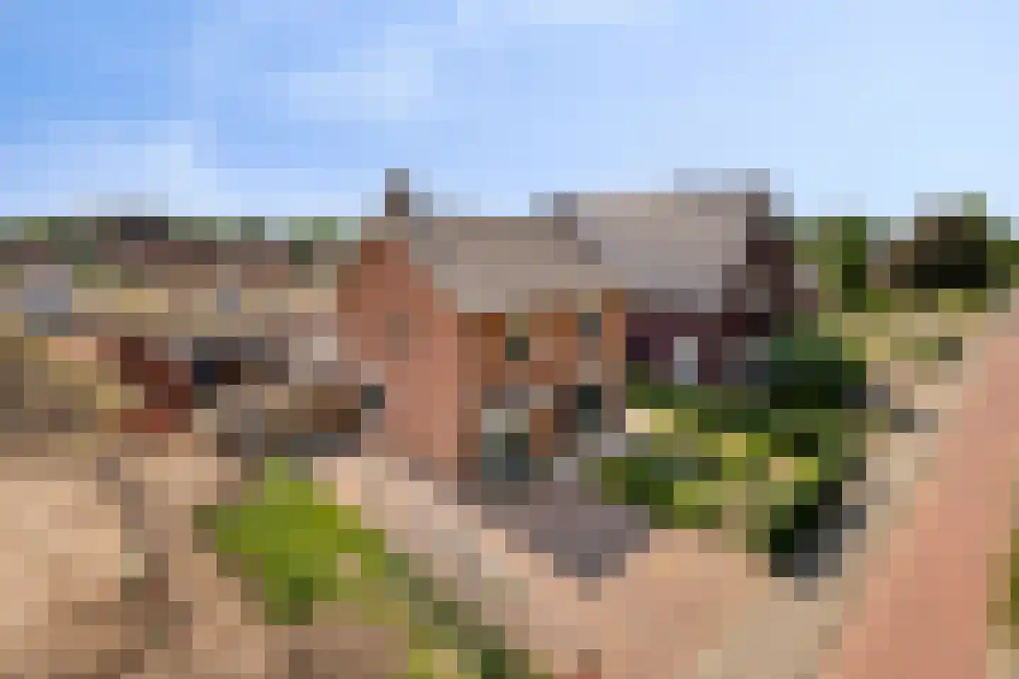 Vlierdenseweg 81 Deurne thumbnail 50