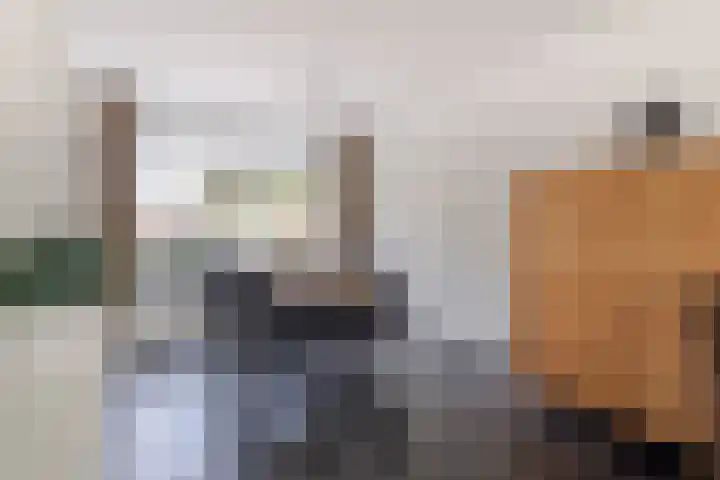Vlierdreef 13 Sleeuwijk thumbnail 14