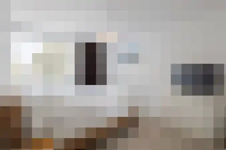 Vlierdreef 13 Sleeuwijk thumbnail 22