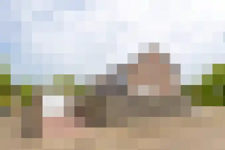Vlierdreef 13 Sleeuwijk thumbnail 31