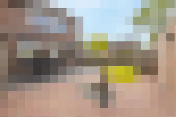 Vlierdreef 13 Sleeuwijk thumbnail 38