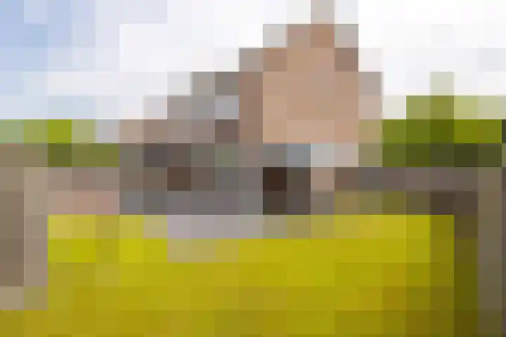 Vlierdreef 13 Sleeuwijk thumbnail 39