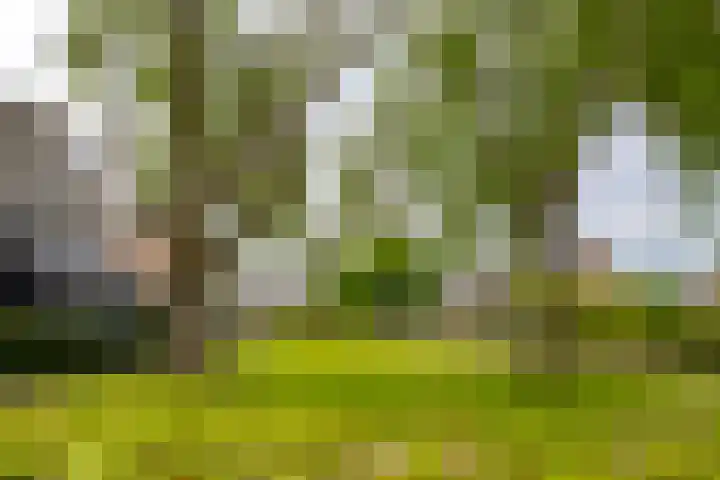 Vlierdreef 13 Sleeuwijk thumbnail 41