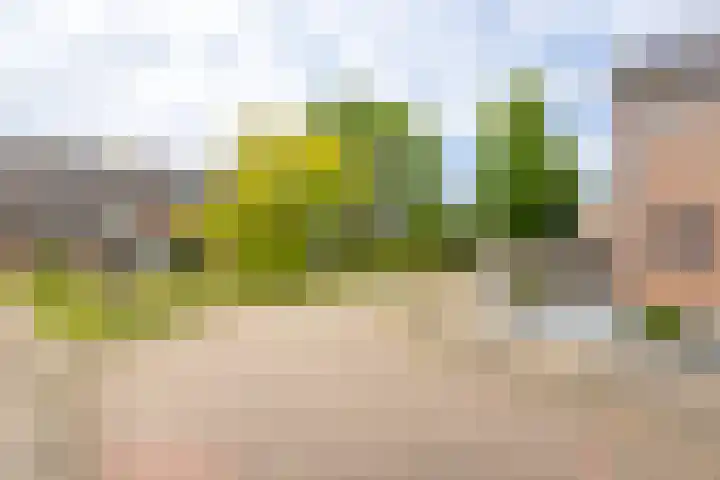 Vlierdreef 13 Sleeuwijk thumbnail 8