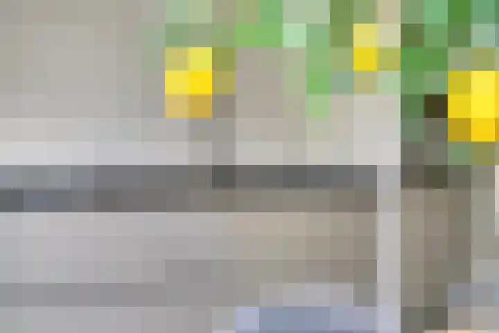 Vlierdreef 17 Sleeuwijk thumbnail 14