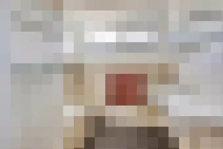 Vlierdreef 17 Sleeuwijk thumbnail 24