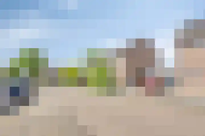 Vlierdreef 17 Sleeuwijk foto 3