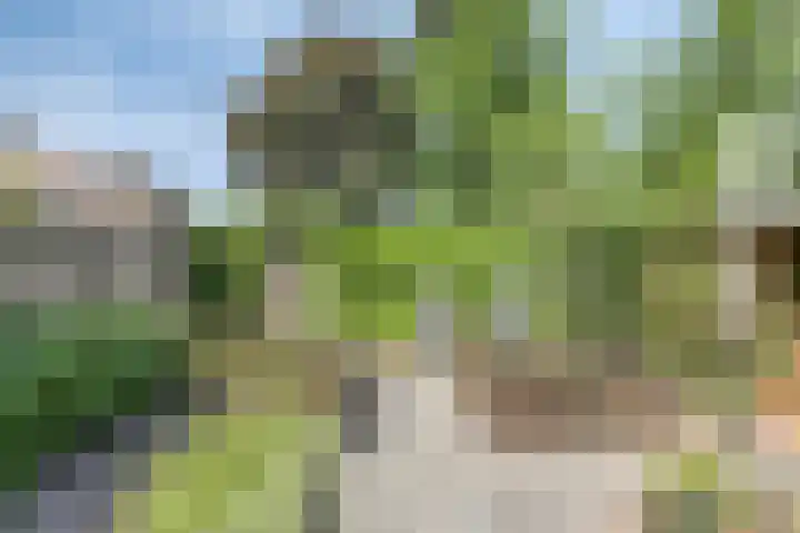 Vlierdreef 17 Sleeuwijk thumbnail 32