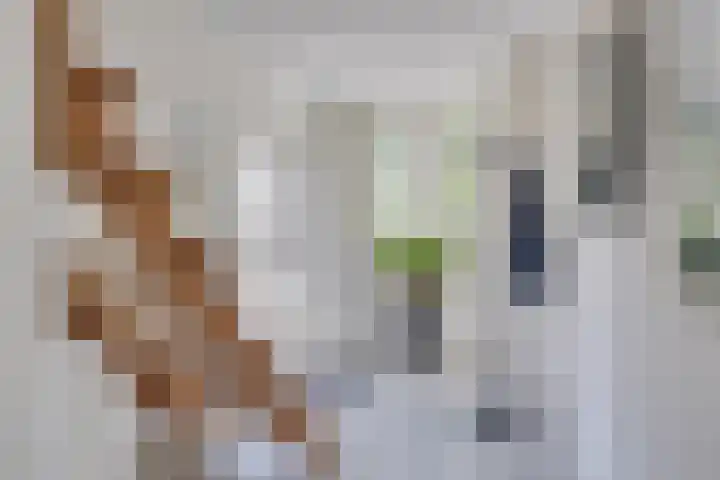 Vlierdreef 17 Sleeuwijk thumbnail 4
