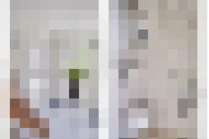 Vlierdreef 17 Sleeuwijk thumbnail 5