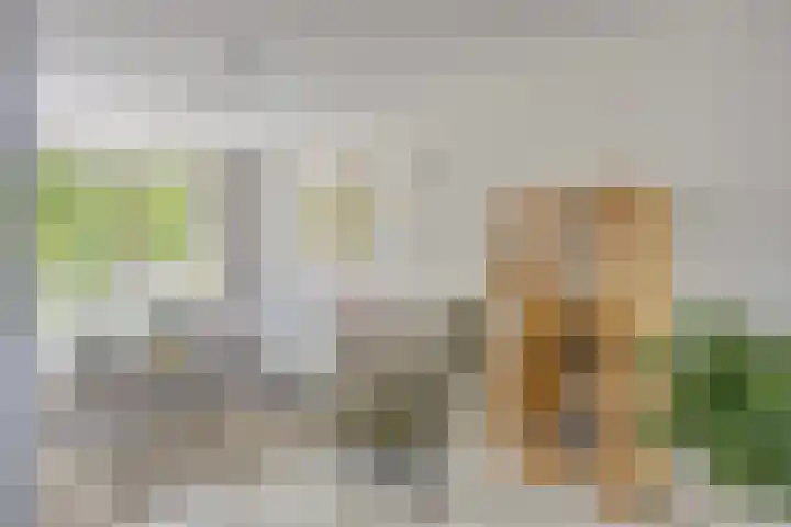 Vlierdreef 17 Sleeuwijk thumbnail 7