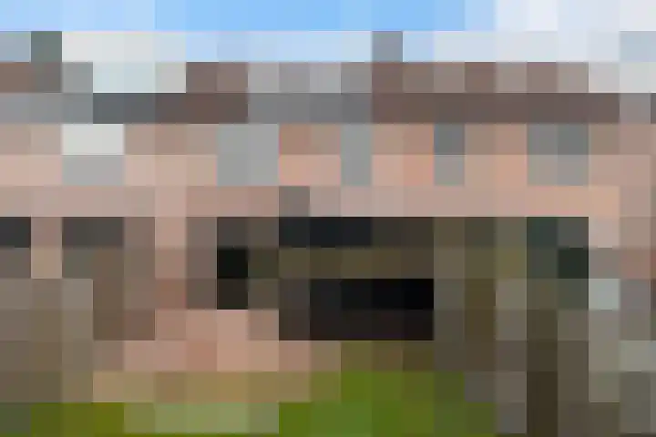 Vlierdreef 18 Sleeuwijk thumbnail 34