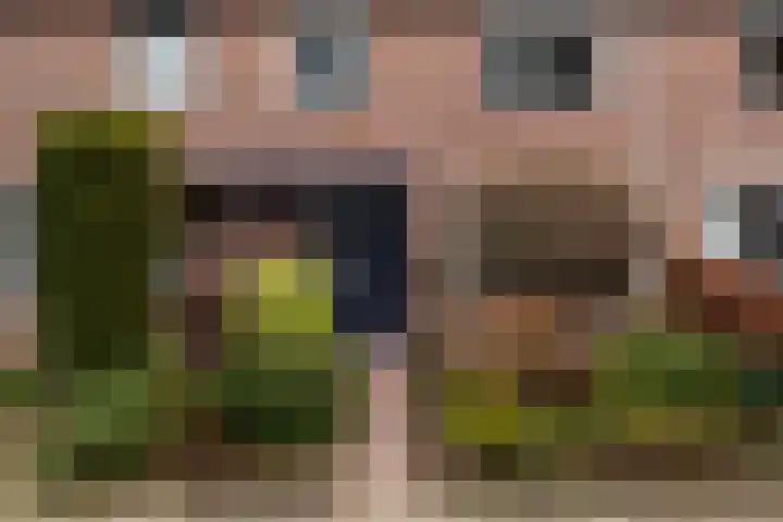 Vlierdreef 18 Sleeuwijk thumbnail 4