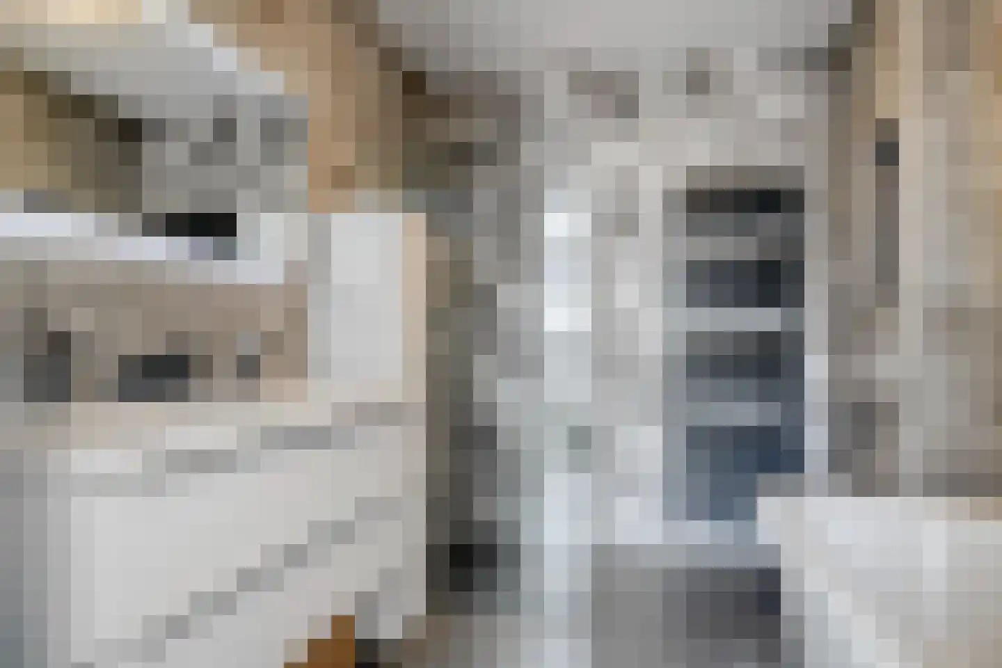 Vlierenberg 1 Zeewolde thumbnail 17