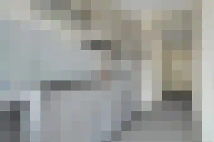 Vlierenbroek 3 Breda thumbnail 16