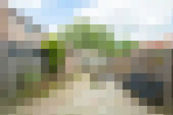 Vlierenbroek 3 Breda thumbnail 17