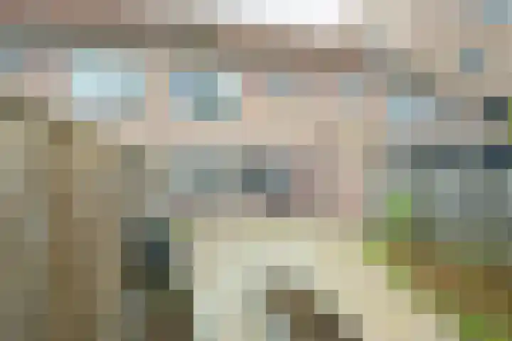 Vlierenbroek 3 Breda thumbnail 18