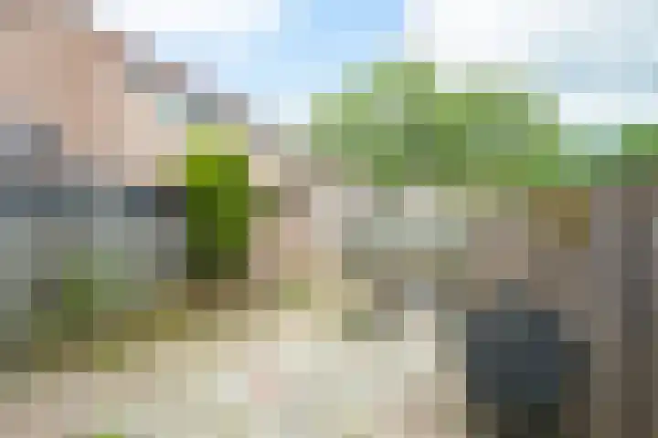Vlierenbroek 3 Breda thumbnail 19