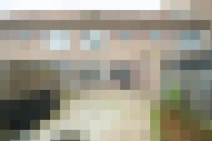 Vlierenbroek 3 Breda thumbnail 20