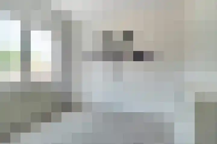 Vlierenbroek 3 Breda thumbnail 22