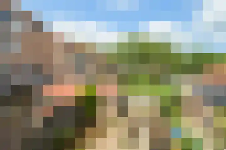 Vlierenbroek 3 Breda thumbnail 25