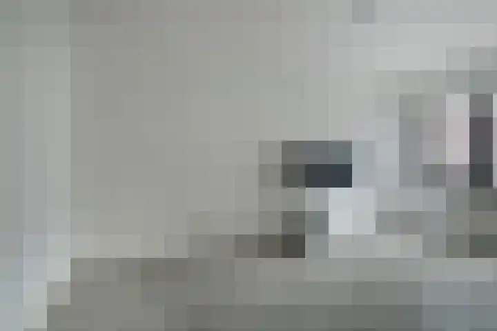 Vlierenbroek 3 Breda thumbnail 29
