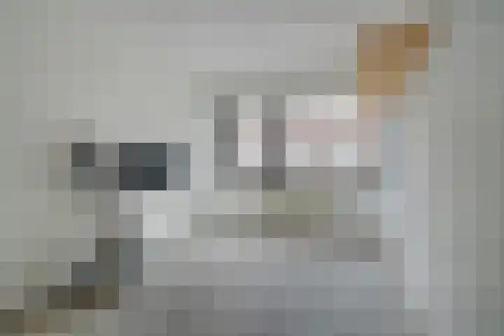 Vlierenbroek 3 Breda thumbnail 31
