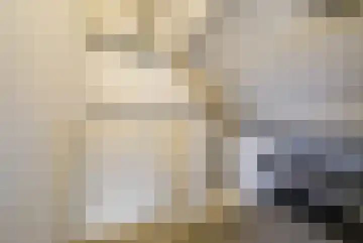 Vlierenbroek 3 Breda thumbnail 35