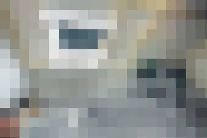 Vlierenbroek 3 Breda thumbnail 39
