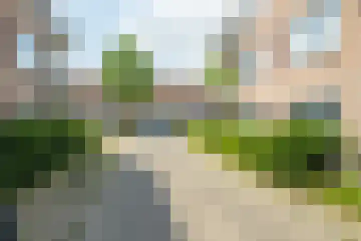 Vlierenbroek 3 Breda thumbnail 41