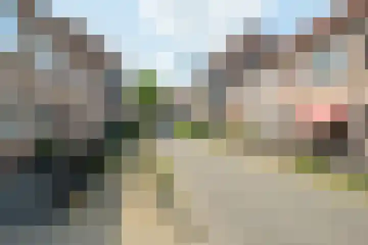 Vlierenbroek 3 Breda thumbnail 42