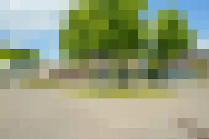 Vlierenbroek 3 Breda thumbnail 43