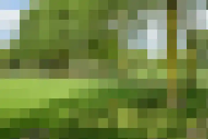Vlierenbroek 3 Breda thumbnail 44