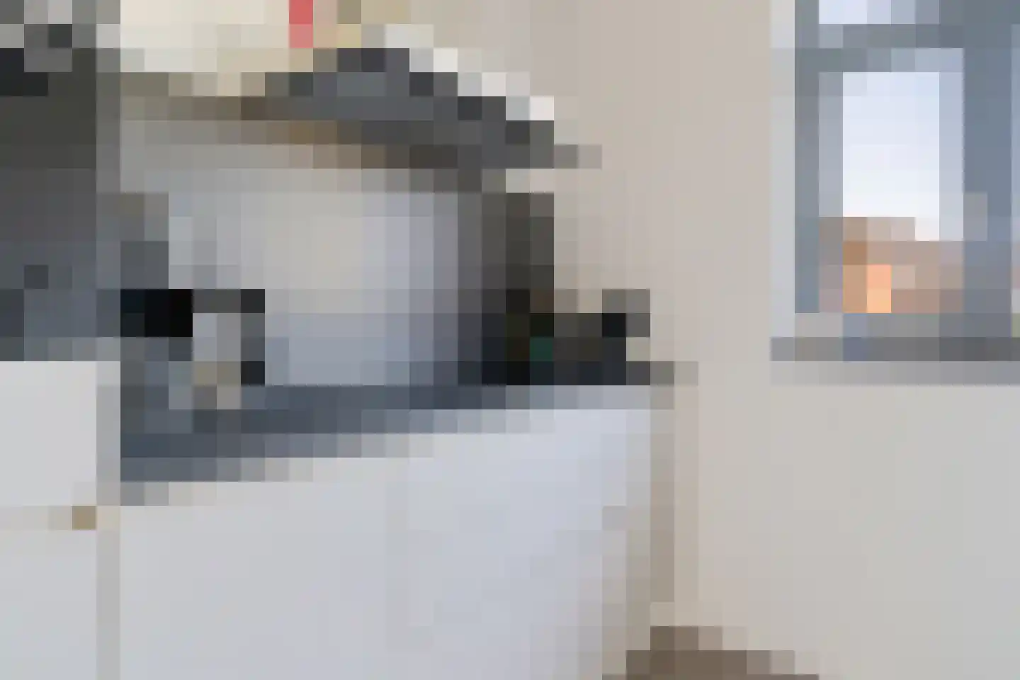Vlierendreef 38 Ommen thumbnail 10