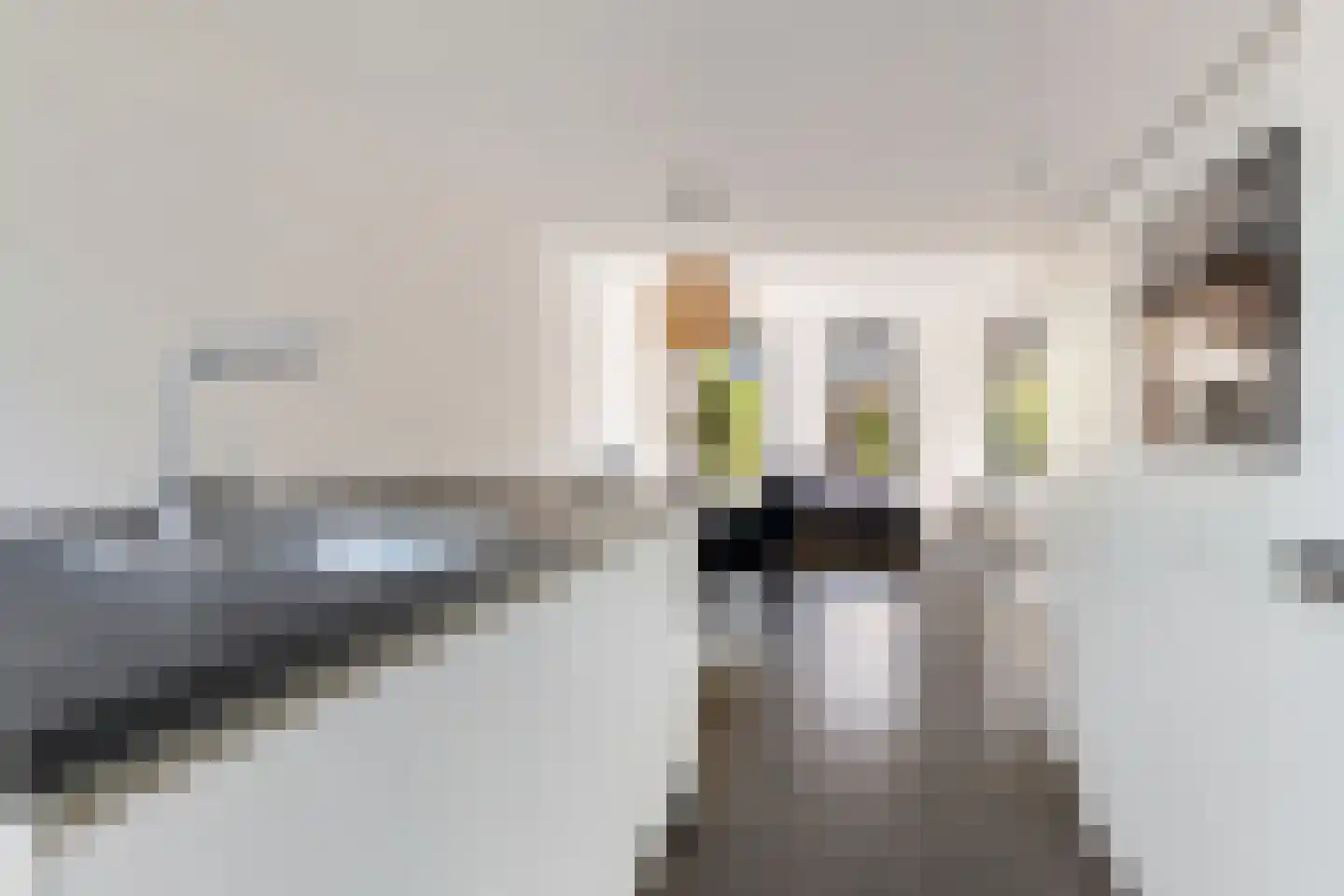 Vlierendreef 38 Ommen thumbnail 11