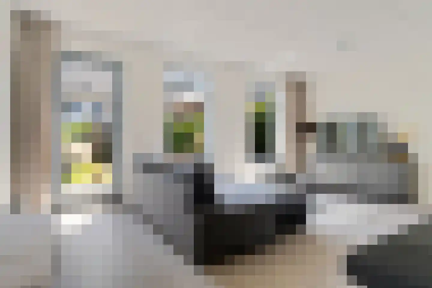 Vlierendreef 38 Ommen thumbnail 15