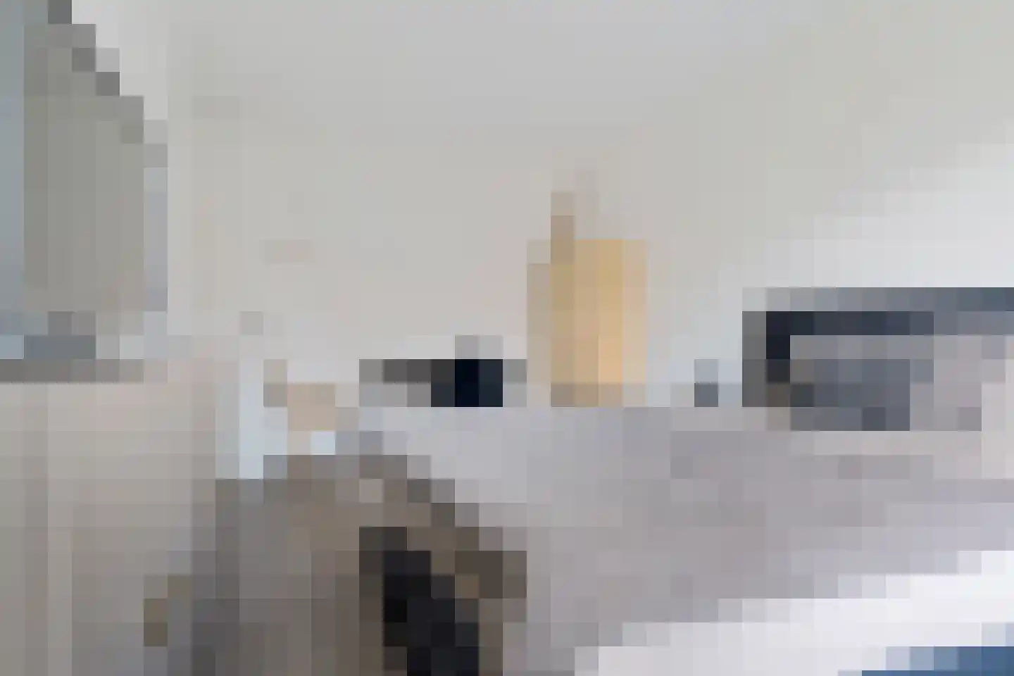 Vlierendreef 38 Ommen thumbnail 22