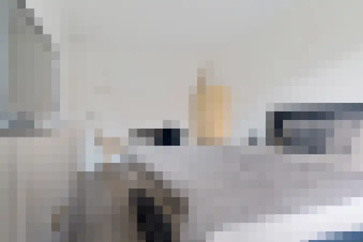 Vlierendreef 38 Ommen thumbnail 22