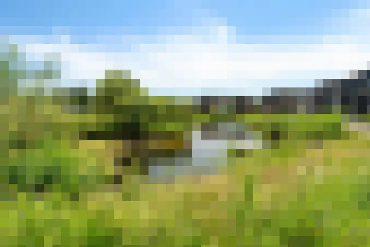 Vlierendreef 38 Ommen thumbnail 58