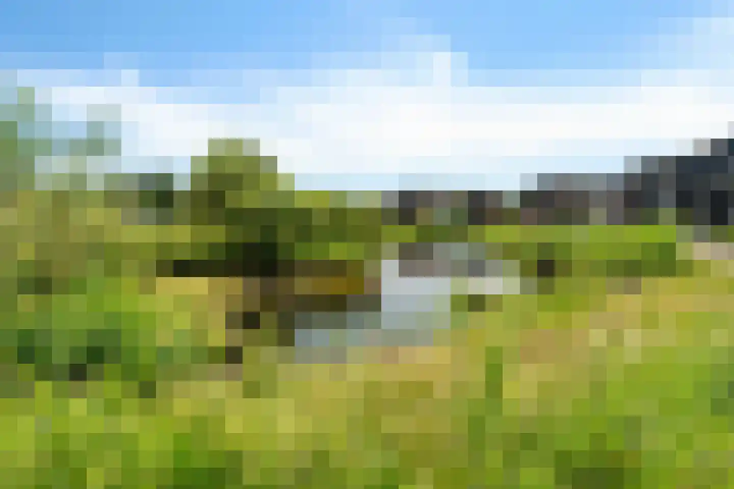 Vlierendreef 38 Ommen thumbnail 58