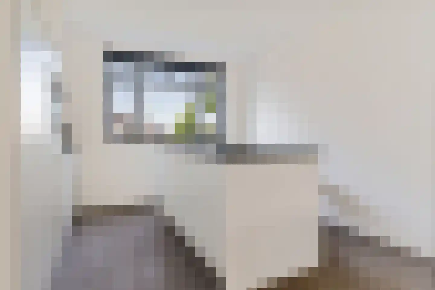 Vlierendreef 38 Ommen thumbnail 8