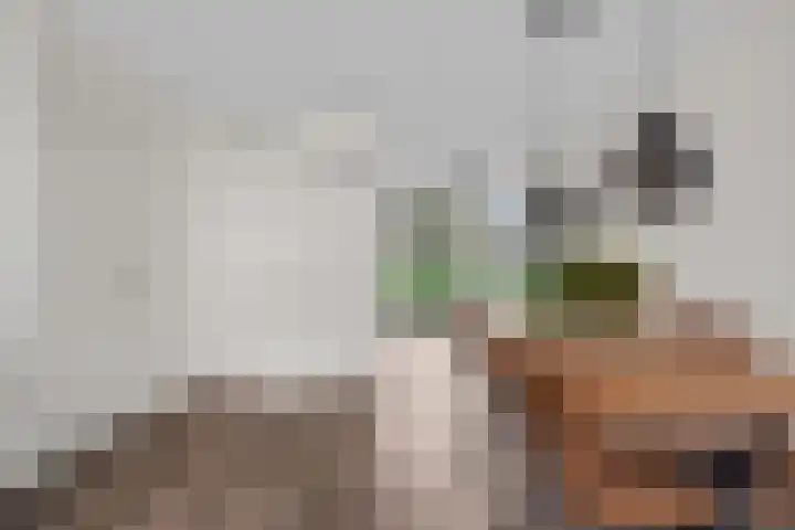 Vlierhoeve 100 Nieuwegein thumbnail 11