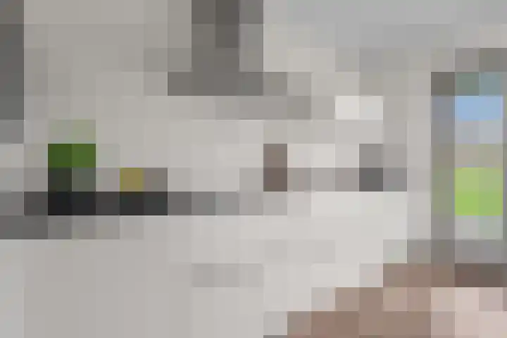 Vlierhoeve 100 Nieuwegein thumbnail 13