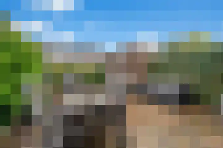 Vlierhoeve 100 Nieuwegein thumbnail 19