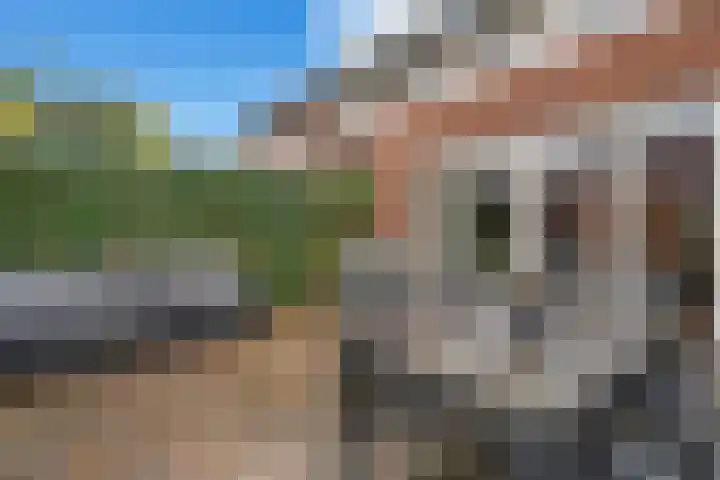Vlierhoeve 100 Nieuwegein thumbnail 20
